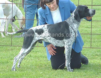 RDCC & 1st Open Dog